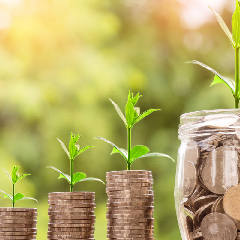 Untitled design (85)